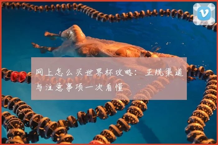 网上怎么买世界杯攻略:正规渠道与注意事项一次看懂