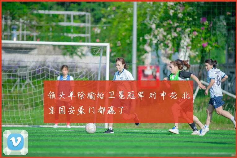 领头羊除输给卫冕冠军 对申花 北京国安豪门都赢了