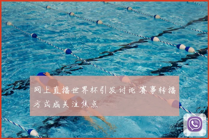 网上直播世界杯引发讨论 赛事转播方式成关注焦点